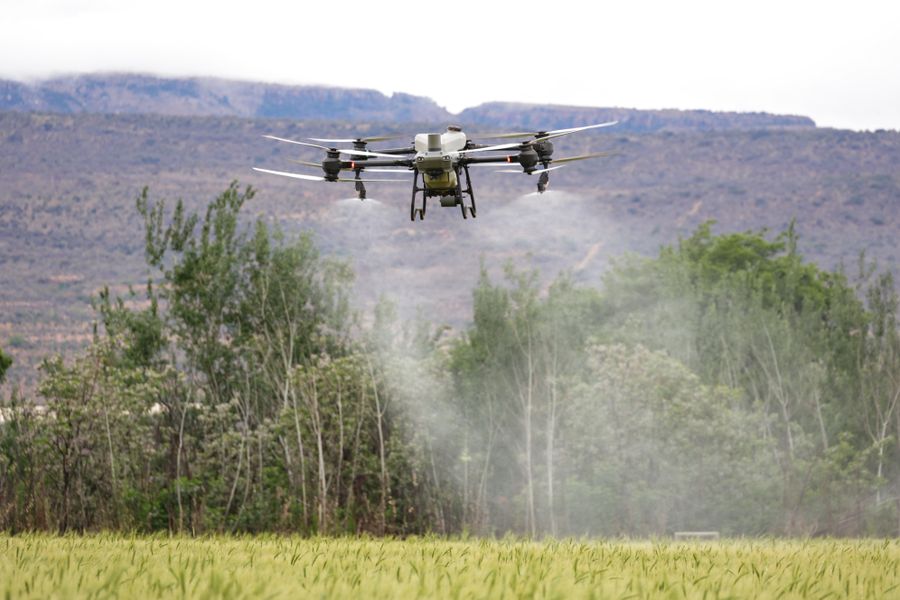 Agricultural spraying drone over a field