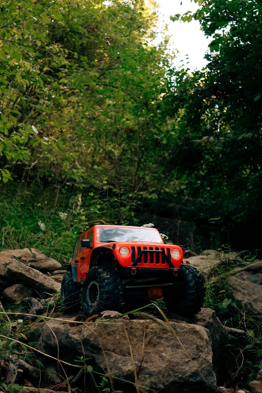 Scale rock crawler climbing over rocks
